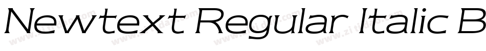 Newtext Regular Italic BT字体转换